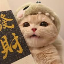 Quản lý tài chính