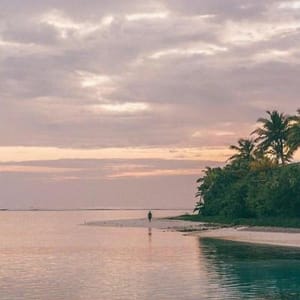 Ảnh đại diện người dùng Lê Phương